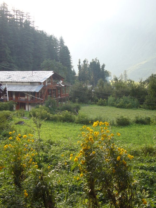 Travel - India - Himachal Pradesh - Parvati Valley - Pulga